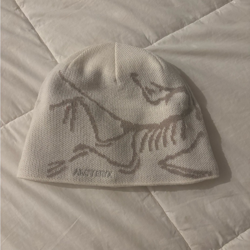 Arc'teryx Bird Head Toque